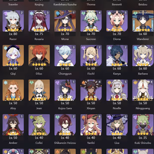 NA | AR 57 | 13  3 Leg | Hu Tao C1 | Zhongli | Raiden | Tighnari | Dehya | Kazuha | Qiqi | Diluc | Tartaglia | Mona C1 - Image 2