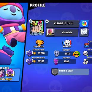 TROPHIES 65798 [] BRAWLER  86 [] MAX BR  15 [] HYPER   10 [] SKINS  152 - Image 6