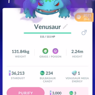 🔥RARE GENGAR COSTUME 💎 LEGENDARY 156 [] SHINY 84 [] POKEMON 608 [] 18 DMAX [] MYTHICAL SHINY CELEBI [] PIKACHU - Image 8