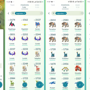 Level 50+ [Solgaleo/Lunala] 48 Legendary|Kyogre|Groudon|Zacian|Ho-Oh|Lugia|Regidrago|Regieleki|Team Valor|650 - Image 4