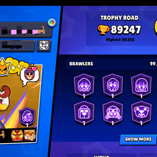 RARE-METEORIC II | 90K TROPHY-470X SKINS | 99/99 BRAWLER | ALL MAX | 90X HYPER | 962X PIN | 530X ICON |R-101!S-121!E-196 - Image 3