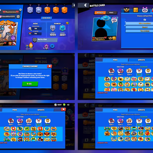 🔥3x PRESTIGE 🔥3x TITLES | Trophy 16.2K | 12x Max Brawler | 180x Skins | 12K Coins | Instant Delivery - Image 3