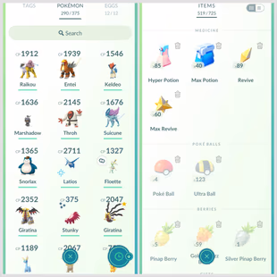 Pokemon go Level 45 - Image 2