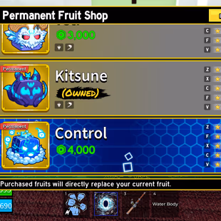 Lvl 2773 Blox Fruits Acc | PERM KITSUNE & LIGHT | True Triple Katana (TTK) | Shark V3 | Superhuman - Image 6