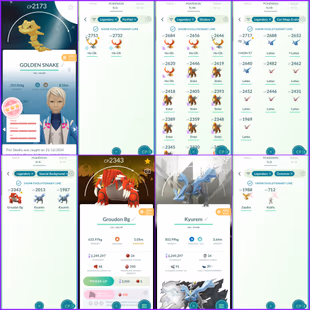 Level 54 Mystic Rare Stacked | 336 Legendary : 158 Shiny : 39 Shiny Legend | Many Rare Pokemons : 20M EXP | Perfect Valu - Image 8