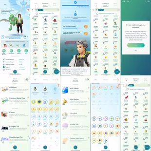 L70 Pokemon GO Account | 7.10M Stardust | 116 Shiny | Rare Regionals & PvP | Name changable I 1X MASTERBALL  - Image 2