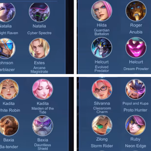 Exalted Collector 5 | 317 Skins | Max Emblems | iOS & Android Playable - Image 3