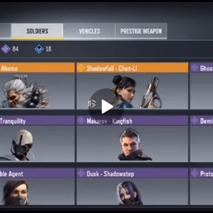 High Level | Legendary Akuma x Chunli | 1 Mythic 8 Legendary Weapons | 300 Epics | Good Deal | Activision Only  - Image 6