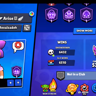 LEADERBOARD PRESTIGE-1 | 104K TROPHY-376X SKINS | 101/101 BRAWLER | 47X MAX | 37X HYPER | 3v3 WINS | 102 TOTAL PRESTIGE - Image 4