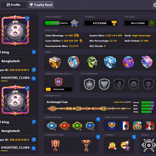5.5 BILLION COINS ACCOUNT | Level 230 | 20 Legendary Cues | 4 Promo Cues MAX | Miniclip Unlimited Password Changeable - Image 2