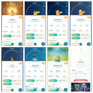 🎯7 ARMORED MEWTWO TRADEABLE 👹(2 SHINY KYOGRE) (RARE OLD 2018 ACCT) (23700 POKEMON) (GUARANTEED LUCKY TRADEABLE) INSTA - Image 4