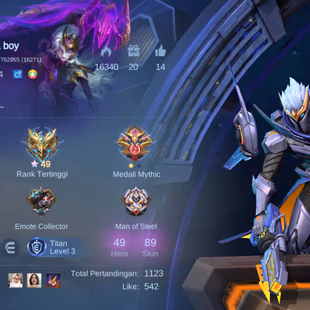 EX57LV 34|HERO 49|SKIN 89|EXPERT II|6 EMBLEM MAX|GRANGER LEGEND|JULIAN MEOW KIN|CHANG'E EPIC|BALMOND EPIC|IRITHEL EPIC|G - Image 2