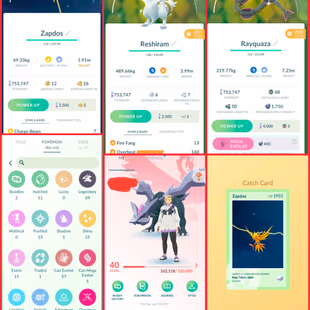 🎯ZAPDOS BG HO-OH DYNAMAX  👹 LEVEL 40  ACCT | 69 LEGENDARY | 15 SHINY | TRADEABLE SHINIES | GMAX  DMAX | INSTANT - Image 2