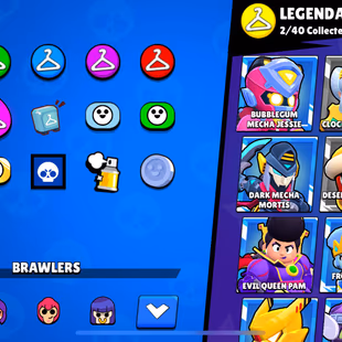 16k Trophies, 70 Brawlers, 7 Legendary Brawlers, 12 11 Strength Brawlers, 6000 Coins, 125 Skins, Description - Image 3