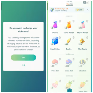 LEVEL 52 😍 8 SHINY LEGENDARY 🔥 91 LEGENDARY | 42 SHINY | 14 SPECIAL BG | 23 HUNDO | FREE RENAME | INSTANT DELIVERY. - Image 5