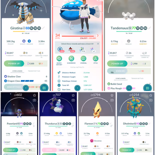 💫ACCOUNT WITH SHINY GIRATINA 💫 LEVEL 34 | SHINY 6 | DYNAMAX 6 | SHADOW 11 | HATCHED 2 | LEGENDARY 3 | INSTANT DELIVERY - Image 1