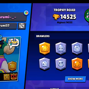 14k Trophies, 65 Brawlers, 4 Legendaries, 9 11 Strength, 3 Hyper, 12k Blings, 153 Gems, 90 Skins, Description - Image 4
