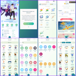 Level 67 Insane Collection | 558 Shiny : 707 Legendary | Rare Shiny Legendaries | Shiny Special BGs & DMax | Zygrade Sem - Image 1