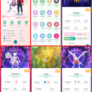 🎯NW STOCK ] LVL 44 ACCT | 56 LEGENDARY 👹| 26 SHINY | SHADOW MEWTWO | SHINY LUGIA | SHINY ZAPDOS  | INSTANT - Image 3