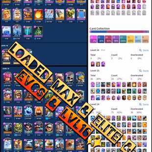 [ 15K TROPHY RANK UC - 8 YR OLD ] LVL68 ALL 120 MAX 36 ELITES 20 EVOS LEVEL 16 CARDS S1 TOWER SKINS HIGH 5500 GEM GOLD4M - Image 6