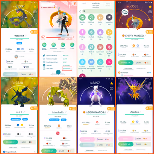 🍓LVL 57 OG (2019) 212 SHINY | 109 LEGENDARY | 53 HUNDO 💯 MEWTWO / RAYQUAZA / GROUDON / HO-OH / RARE COLLECTION ACCT  - Image 2