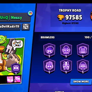 RAREST | ALL BUFFIES-48 | ALL SKINS-[760] | 98K TROPHY | ALIEN FAME III | 100/100 BRAWLER | ALL MAX-ALL HYPER | 1648-PIN - Image 3
