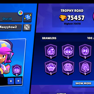 Trophy 75k [Legandary Hit]💎Brawler 100x💎Max 44x [] Hyper 38x [] Total Skin 355x [] Profile icones 491x [] Billing 7k - Image 6