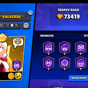 All rare skins💎 | 72K Trophies | 101 Heroes | 65 Maxed | 75 Hayper | 360 Skins🌟 | The More... - Image 4