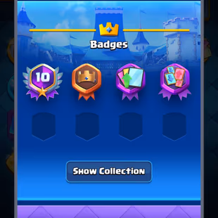 Super Rare 🔴 10 Year Old Badge 🔴 Free Name Change  - Image 3