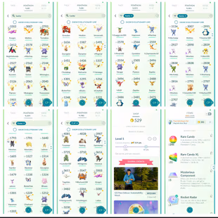 P 2.102 Level 62 Mewtwo Armor Charizard Rayquaza Kyogre Entei Raikou Gryarados  13 Shiny And Legendary 284 Shiny 277 Leg - Image 6