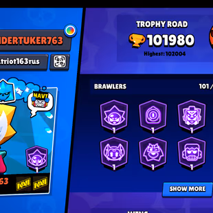 CHANGEABLE ID | 102K TROPHY-375X SKINS | NC AVAILABLE | 101/101 BRAWLER | 60X MAX | 54X HYPER | 3v3 WINS | NICE SJINS - Image 3