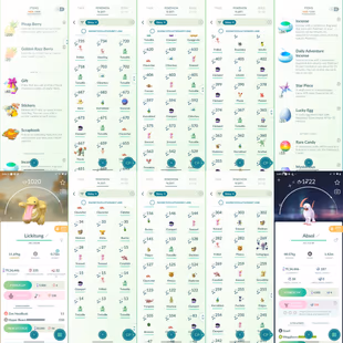 L70 Pokemon GO Account | 7.93M Stardust | 207 Shinies  | Regionals I PvP Ready l 1X masterball l Name changeable  - Image 4