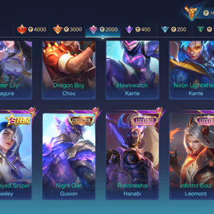 EMBLEM MAX HERO MAX SKIN 545 LEGEND 2 CC 3 KOF KARINA GUIN CHOU DAWNNING BRUNO NEXUS MARTIS TRANFORMRS X BROG ROGER  - Image 7