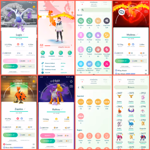  🎯LVL 44 | 243 TRADEABLE PG 🔄 125 LEGENDARY  | 59 SHINY  | 6 HUNDO  | RARE SHADOW  / LUGIA HO-OH - RARE COLLECTION A - Image 6