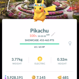 Level 71 Pokemon Go Account | 9 Hundo Legendaries | 179 Shiny  - Image 6