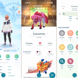 🔥LEVEL 50 💎 SHINY LEGENDARY ZAMZENTA [] 51 LEGENDARY [] 8 SHINY [] RENAME AVAILABLE []  CHEAPEST - Image 2