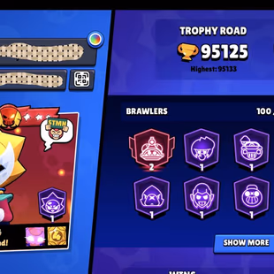 95K Trophies | 100 Heroes | 73 Max Level  | 86 Supercharger | 371 Skins |  83 Titles | 19.8K 3v3 | The More... - Image 1