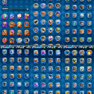 🔥98 Card Lv15-Lv14🔥17 Evo! 10000 Trophy! Level 63! KT Level 15! 126 Old Emote! 132 Badges! - Image 5