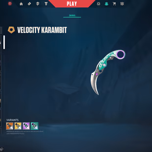 🌍EU | 17 Skins | 1 Knives | Velocity Karambit | Glitchpop Phantom🍒 | Reaver Vandal | 3.9K VP Spent - Image 2