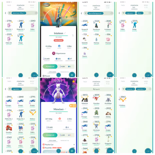 LEG DMAX MOLTRES - 52 DMAX | 8 GMAX - LEVEL 45 | LEGENDARY 41 | SHINY 31 | POKEMON 629 | RENAME AVAILABLE - Image 4