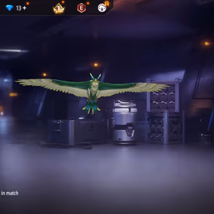 iOS/Android (Global) - Level 55 - Set 77 - Emote 18 - Pet 7 - Weapon 121 - Artifact 4 - Mythic 19 - Epic 36 - Diamond 10 - Image 6