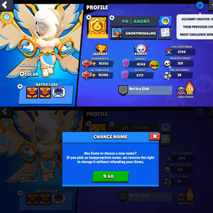 [DG-10] 16K-TROPHIES 51-BRAWLERS 60-SKINS 183-GEMS 60-RENAME CHEAP INSTANT DELIVERY GUARANTEED - Image 3