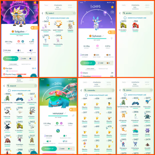 🍓LVL 57 OG (2019) 212 SHINY | 109 LEGENDARY | 53 HUNDO 💯 MEWTWO / RAYQUAZA / GROUDON / HO-OH / RARE COLLECTION ACCT  - Image 7