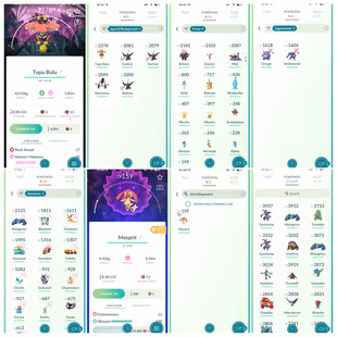 LEVEL 46 | SPECIAL BG DARKRAI - TAPU BULU | 18 DMAX | 42 LEGENDARY | 33 SHINY | 675 MONS - Image 4