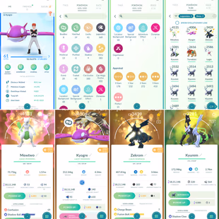 PVP ACCOUNT [] LOS ANGELES BG XERNEAS 100 [] 34 SHINY LEGENDARY [] 349 LEGENDARY [] 382 SHINY [] RENAME AVAILABLE [] 48  - Image 1