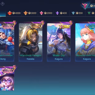 ML 697 Exlated Collector Legend Lunox 303 Skins Prime YuZhong Lucky Odette Zilong 43 deluxe Skins Hero 125 Emblem Max - Image 2