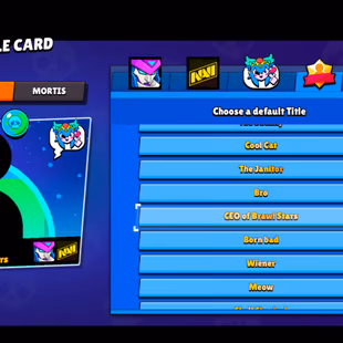 276 SKINS | 54.700 TROPHIES | 101 BRAWLERS | 23 HYPERCHARGE | 36 MAX | 24 PRESTIGE | 2 BUFFIES - Image 8