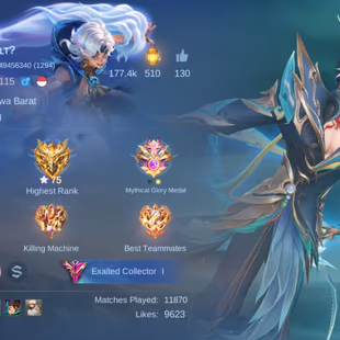 SOLID HYPER MAGE BASED ACC || 1 LEG 14 GRAND 14 EXQUISITE || ALMOST MEGA COLLECTOR || EX 75 STAR || 4000 STARLIGHTF || E - Image 6