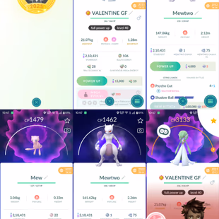 🔥SHINY GMAX BLASTOISE 💎 239 SHINY [] 11 SHINY LEGENDARY [] 190 LEGENDARY [] Shiny ARTICUNO MOLTRES GROUDON PALKIA  - Image 4