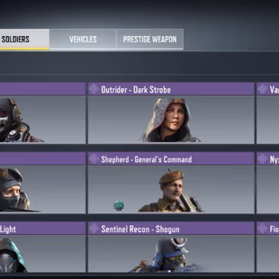 CHEAP DEAL || LEVEL MAX || WEAPONS: 8 Mythic 15 Legendary || COOL EPICS | Grim Ending | Rising Ashes | INSTANT DELIVERY  - Image 5